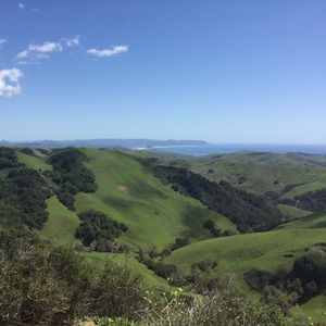 Meet your Posher, Bran